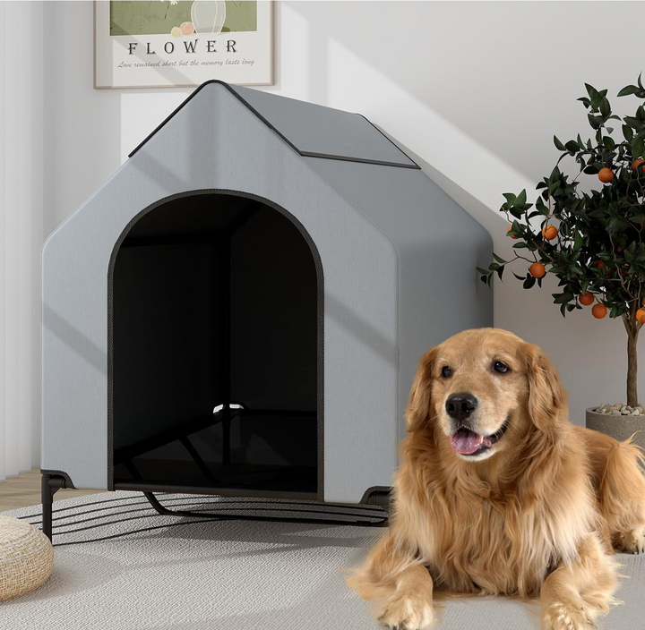 Grosse niche pour chien pavllove