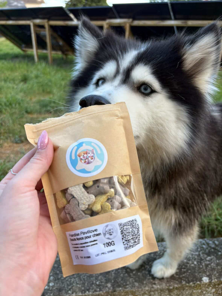 Nonos friandises pour chien ⭐⭐⭐⭐⭐