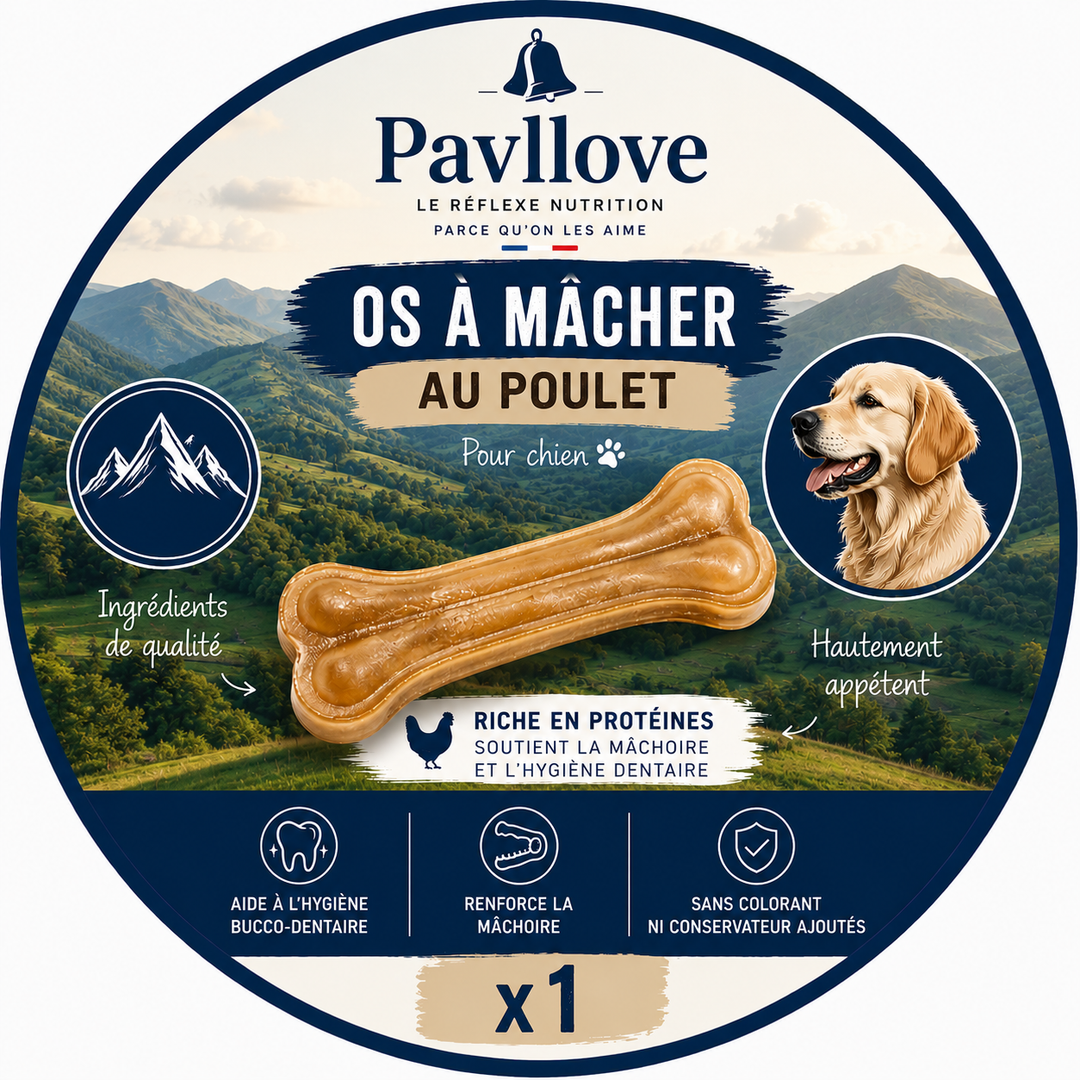 🦴 Os à mâcher au poulet pour chien x1 ⭐⭐⭐⭐⭐