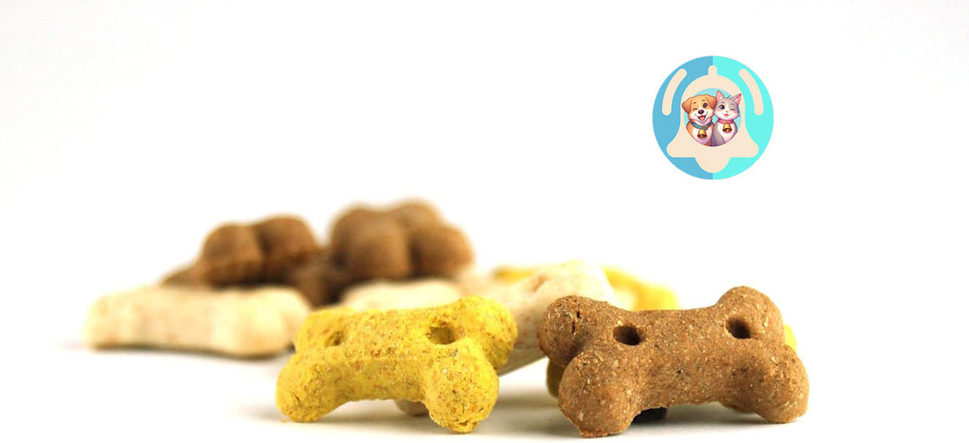 Petits nonos Pavllove pour petit chien, friandises saines et naturelles, riches en protéines et faciles à croquer.