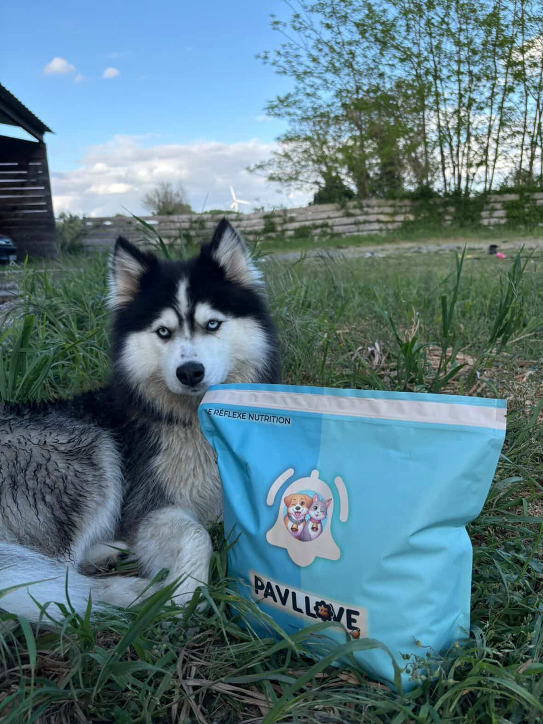 Croquettes sans céréales pour chien Adulte (Volaille) ⭐⭐⭐⭐⭐
