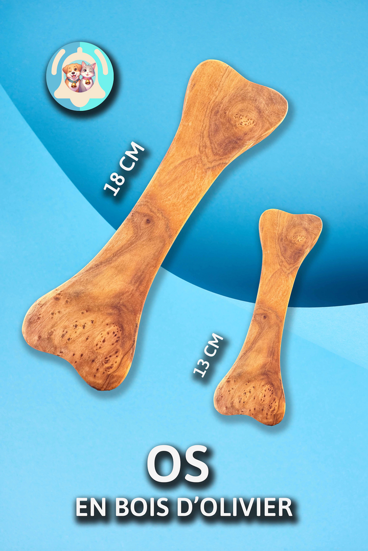 Chien mâchant un os Pavllove en bois d’olivier, jouet naturel favorisant la mastication saine et le bien-être.