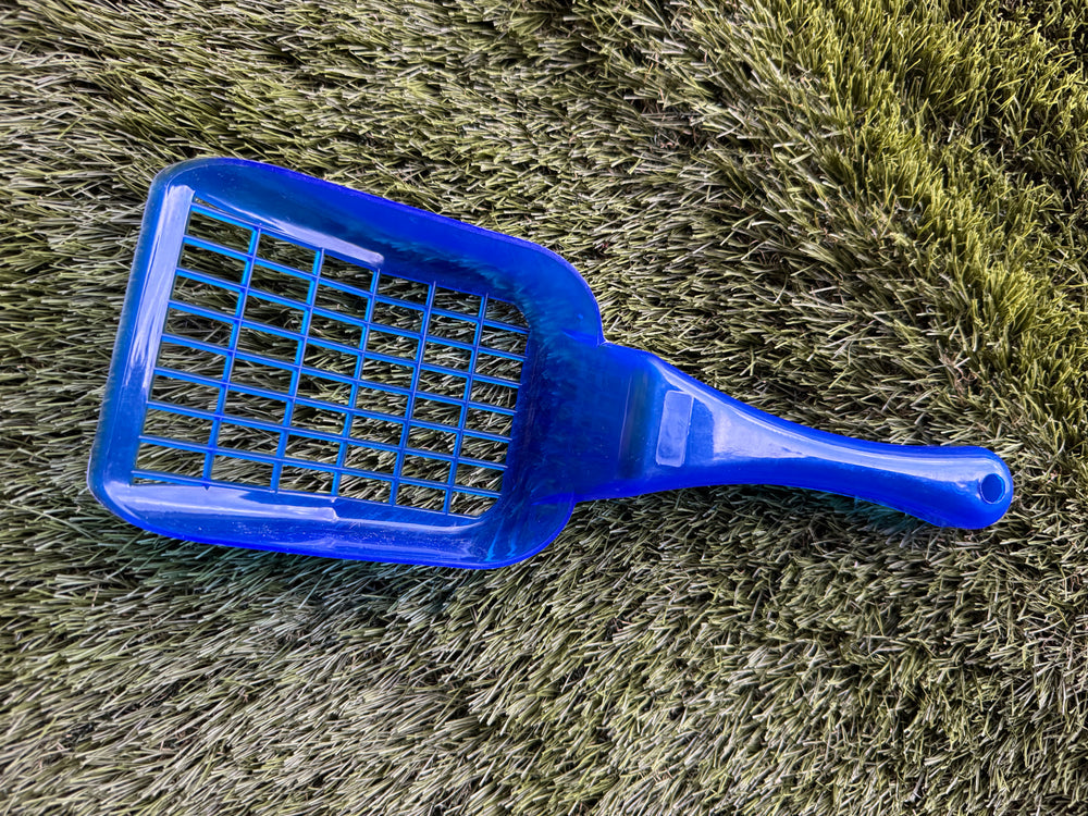 pele bleue à litiere premium Pavllove