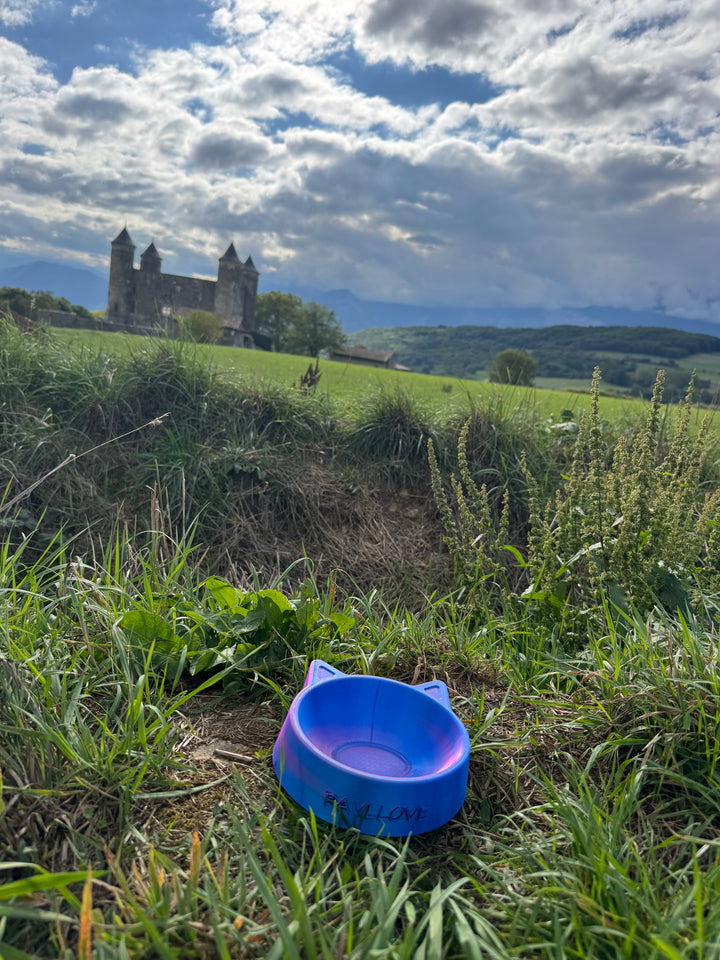 Pavllove – gamelle unique pour chien et chat, création artisanale française, couleurs bleu profond et violet scintillant.