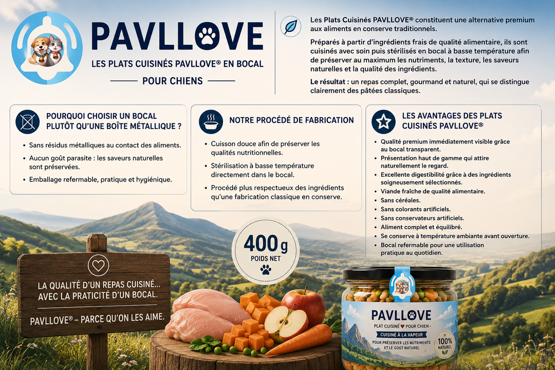 Plat cuisiné (400g) au bœuf pour chien  Repas complet sans céréales Pavllove® (PRÉCOMMANDE POUR OCTOBRE)