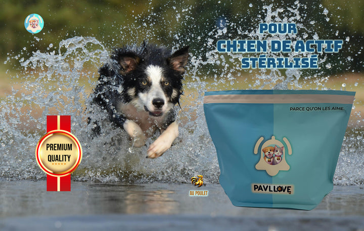 Croquettes haut de gamme pour chien sportif (gestation / lactation / compétition) - Poulet