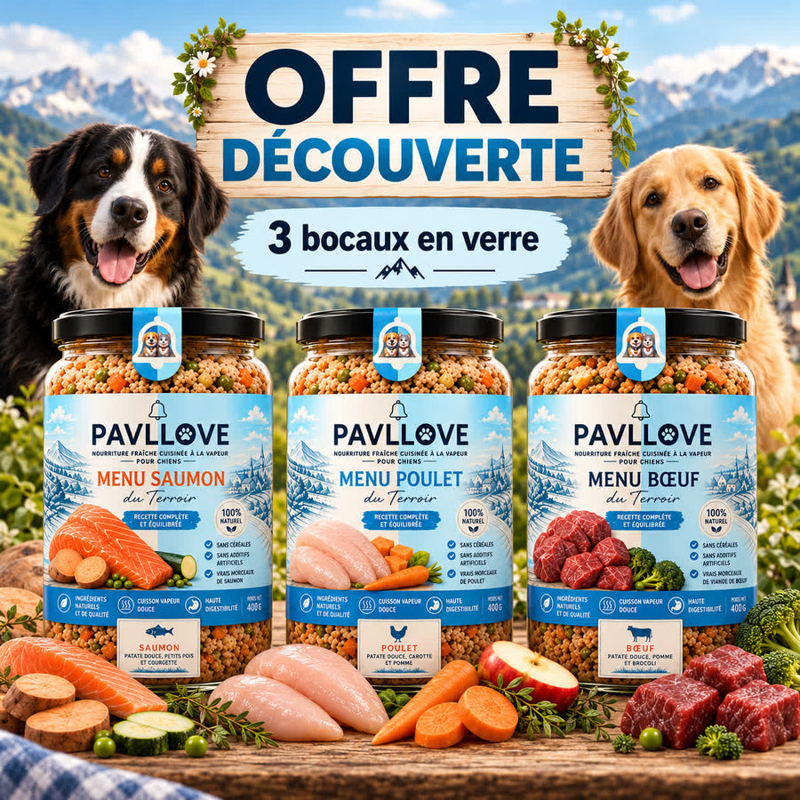 Coffret découverte Pavllove avec trois recettes maison pour chien au bœuf, poulet et saumon en bocaux de 400 g
