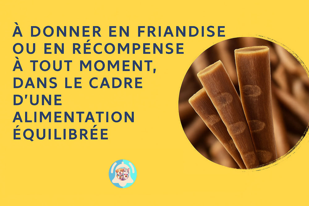 Image du produit – bâtonnets en gros plan dans le cercle