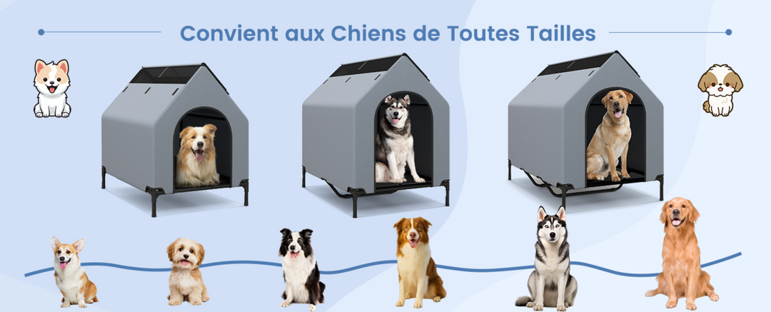 Niche d'extérieur ou d'intérieur pour chien, solide et fiable pavllove