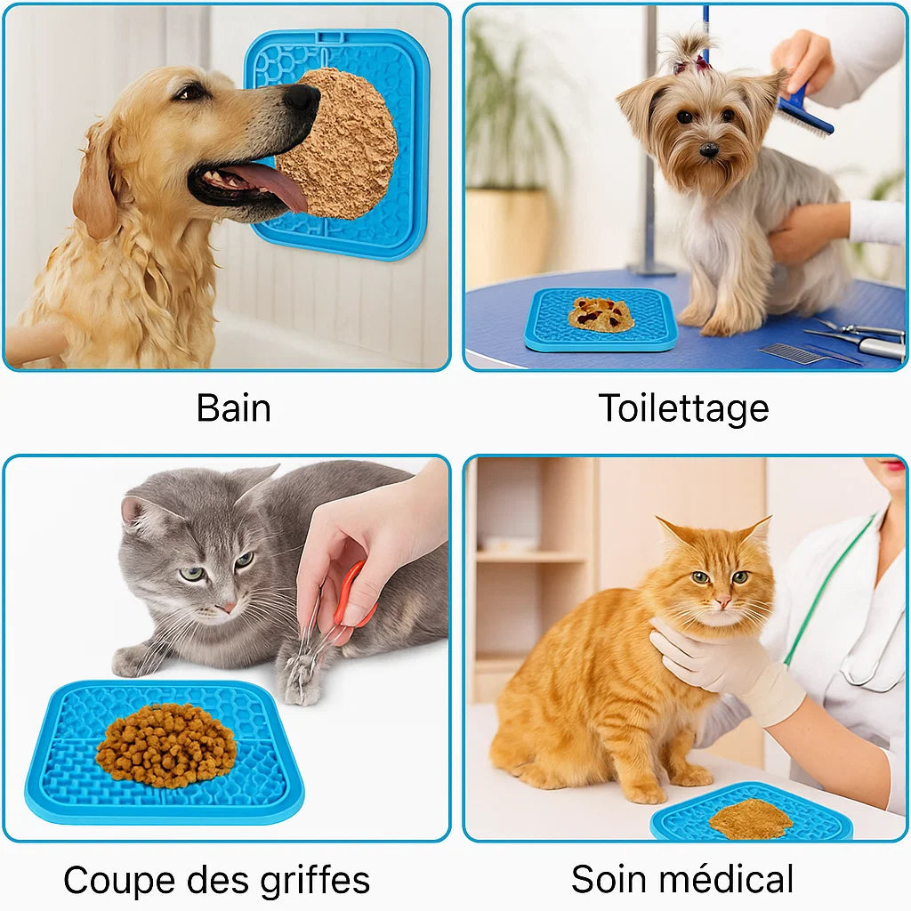 Photo d’un chien utilisant un tapis de léchage Pavllove, accessoire relaxant et ludique pour prolonger le moment de gourmandise.