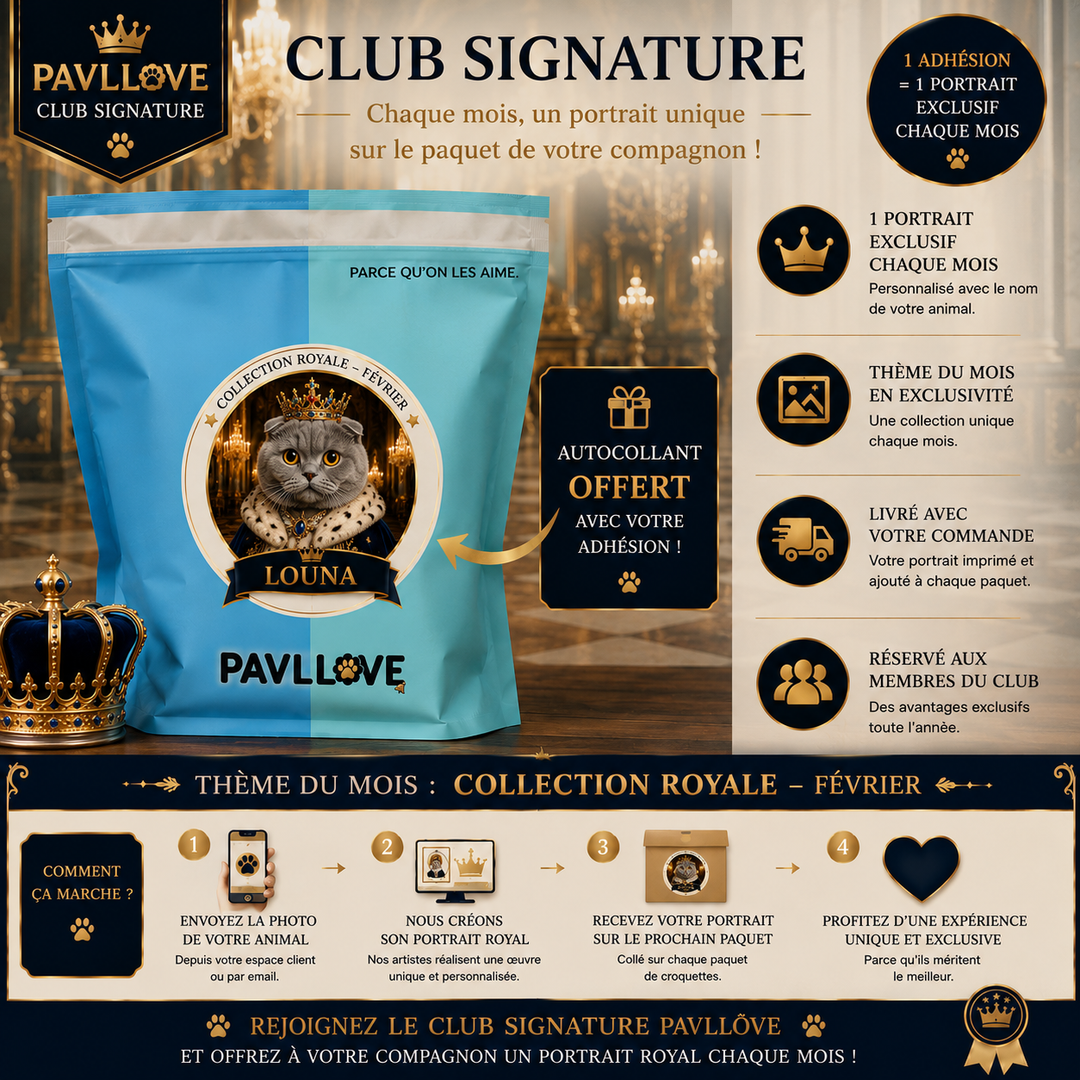 Portrait personnalisé de votre chien ou chat (Thème Royal)