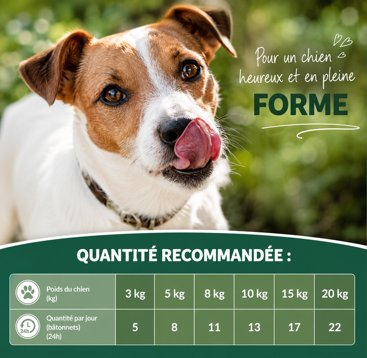 🐶 Topping Poulet & Fromage 14g (sauce)