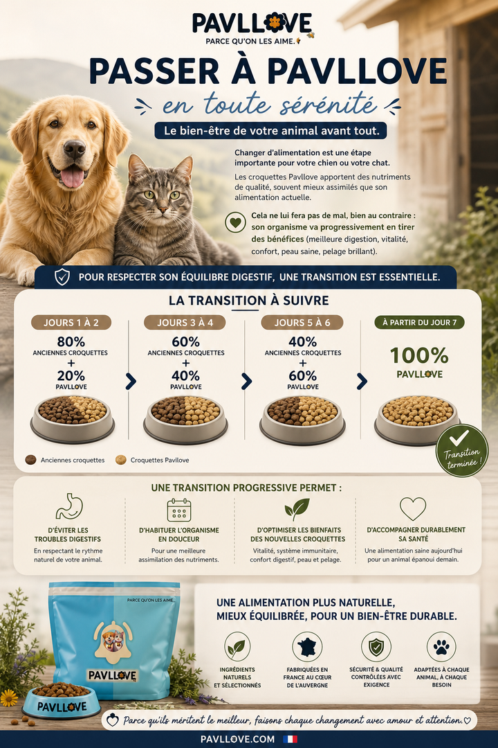 Croquettes haut de gamme pour Chat adulte & senior (stérilisé ou non) -  au Saumon ⭐⭐⭐⭐⭐