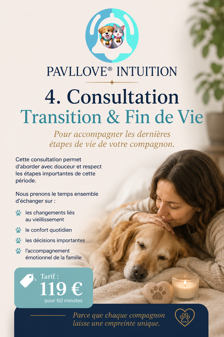 Consultation, communication Intuitive Complète