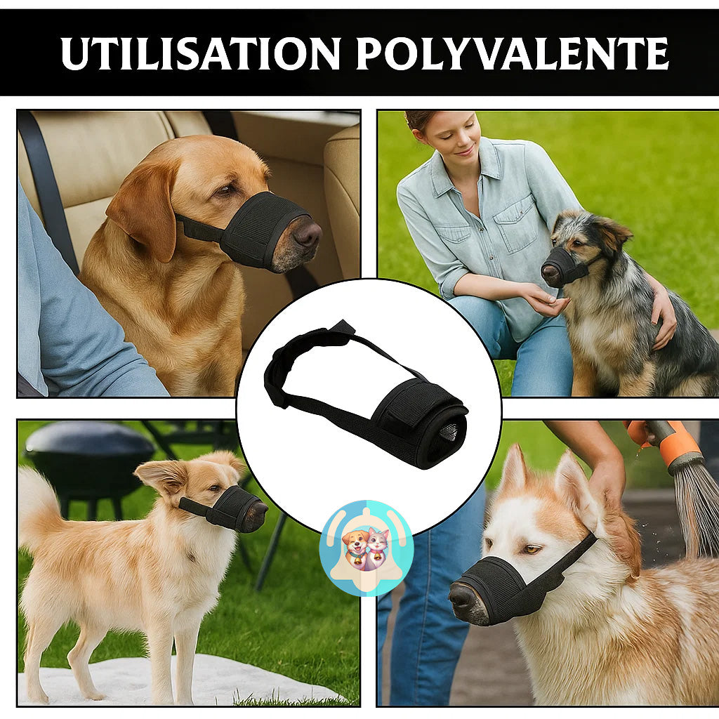 muselière réglable anti-traction Pavllove