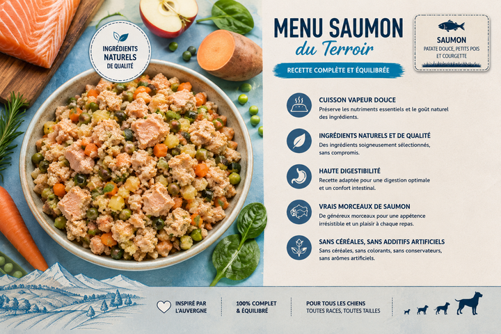 Aliment complet premium au saumon pour chien, sans céréales, cuisson vapeur douce, haute digestibilité et ingrédients naturels.