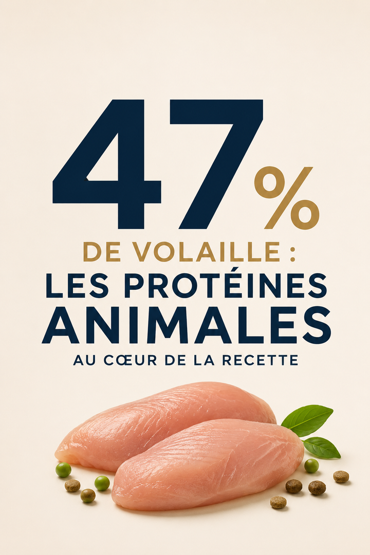 Croquettes naturelles pour chat sans céréales avec thym, sauge, origan, persil et marjolaine biologiques