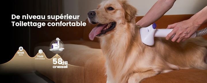 Aspirateur de toilettage chien et chat à faible bruit avec puissance d'aspiration réglable pour un entretien du pelage à domicile