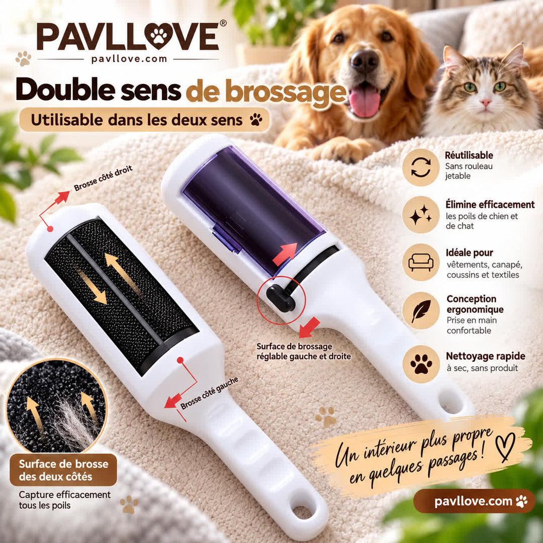 Brosse ramasse-poils pour enlever les poils de chien et de chat sur canapé, fauteuil et coussins
