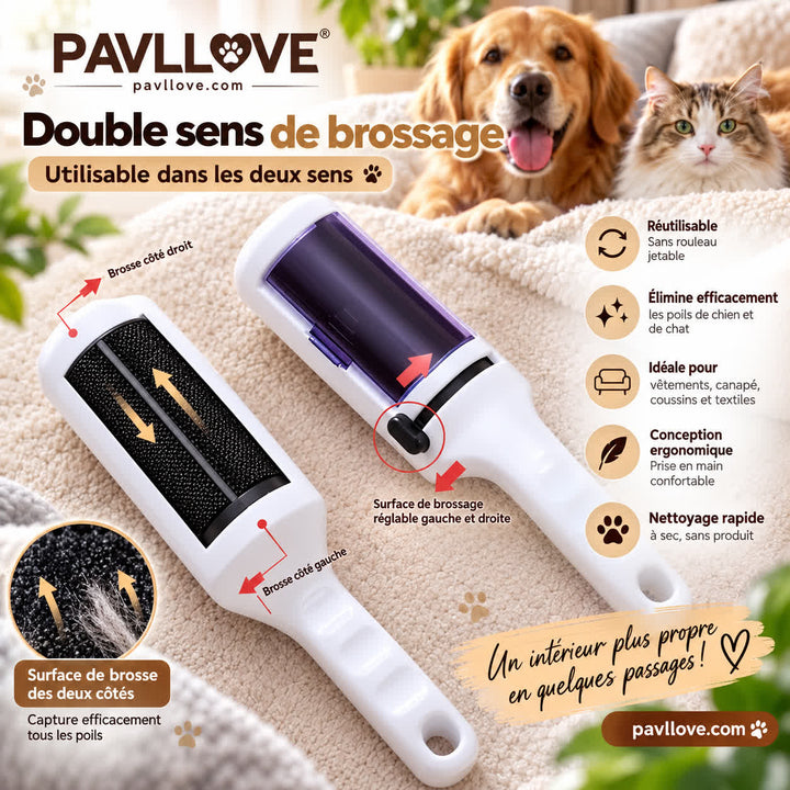 Brosse ramasse-poils pour enlever les poils de chien et de chat sur canapé, fauteuil et coussins