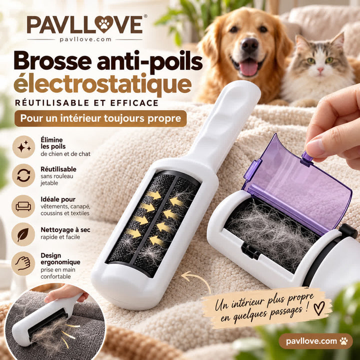 Brosse Anti-Poils Électrostatique Réutilisable Chien & Chat – Vêtements, Canapé et Tissus
