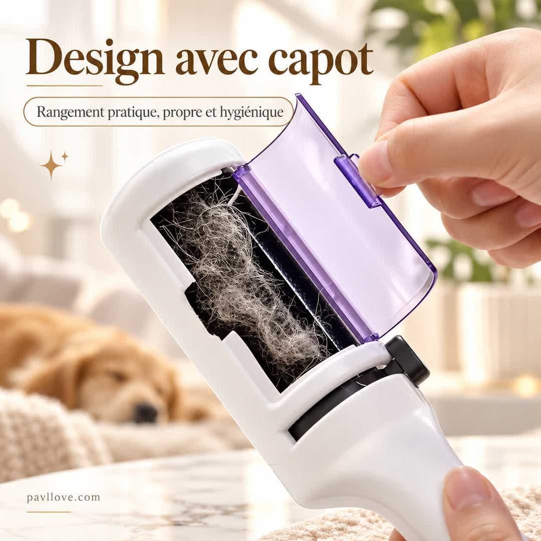 Brosse électrostatique anti-poils animaux pour nettoyer rapidement les vêtements sans rouleau adhésif