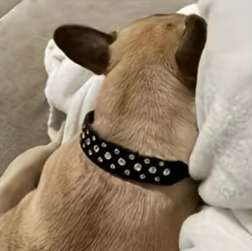 Collier pour Chien & Chat à Strass – Cuir Synthétique Premium – Cristaux Scintillants – Ajustable & Durable – Noir - Pavllove