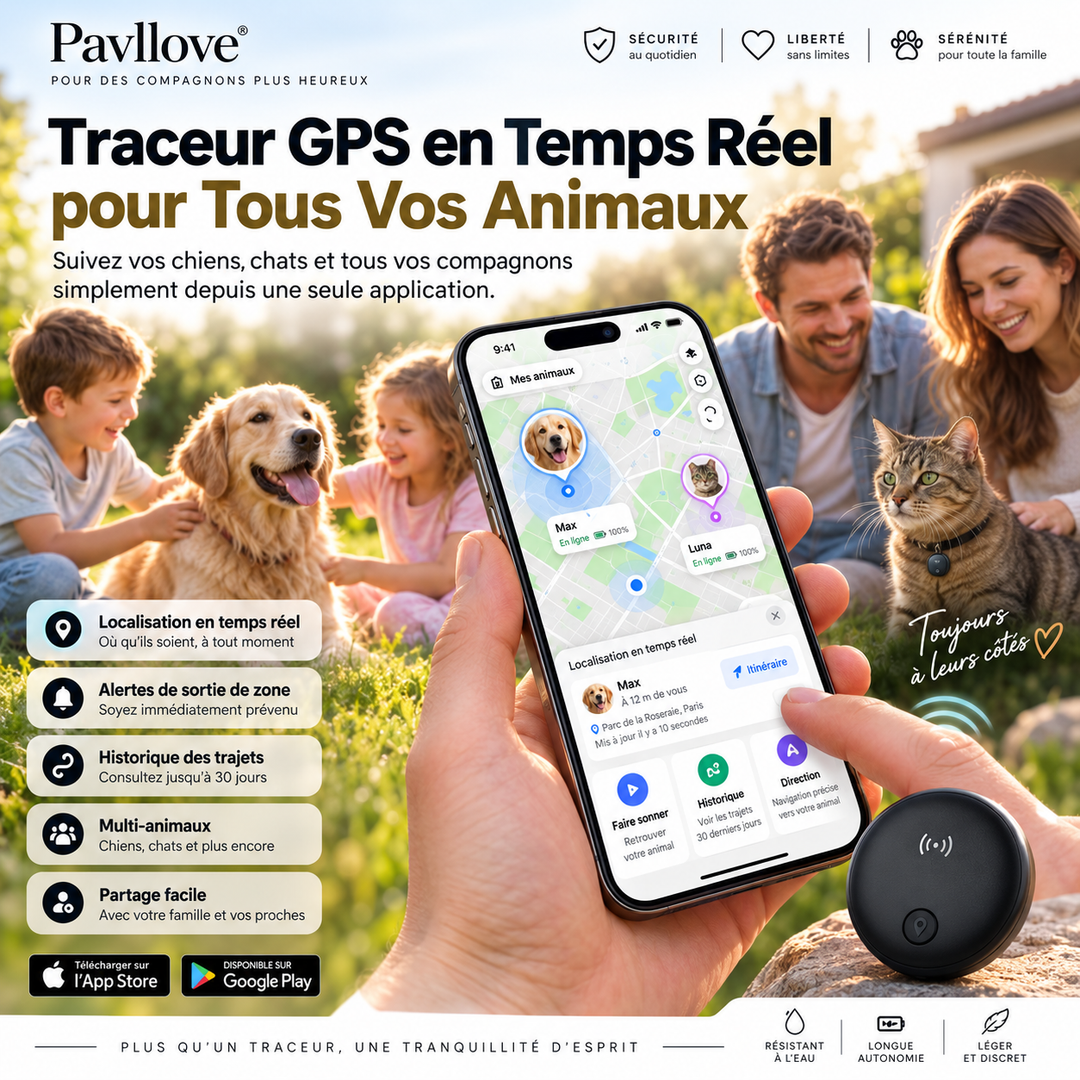 Collier GPS chien et chat avec balise noire Pavllove et support de fixation