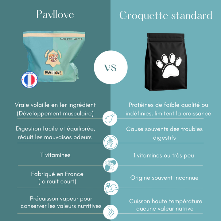 Comparatif de croquette pour chien