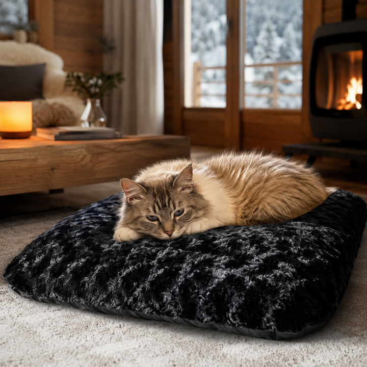 Coussin noir pour chat Maine Coon dans un décor intérieur luxe et cocooning