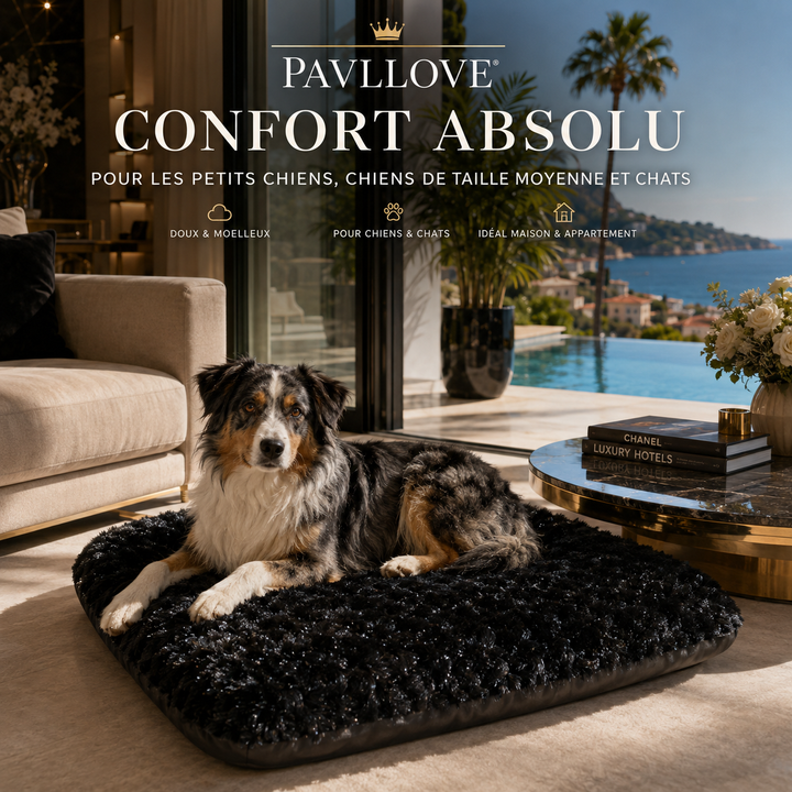 Coussin pour chien de petite taille en appartement avec texture noire brillante
