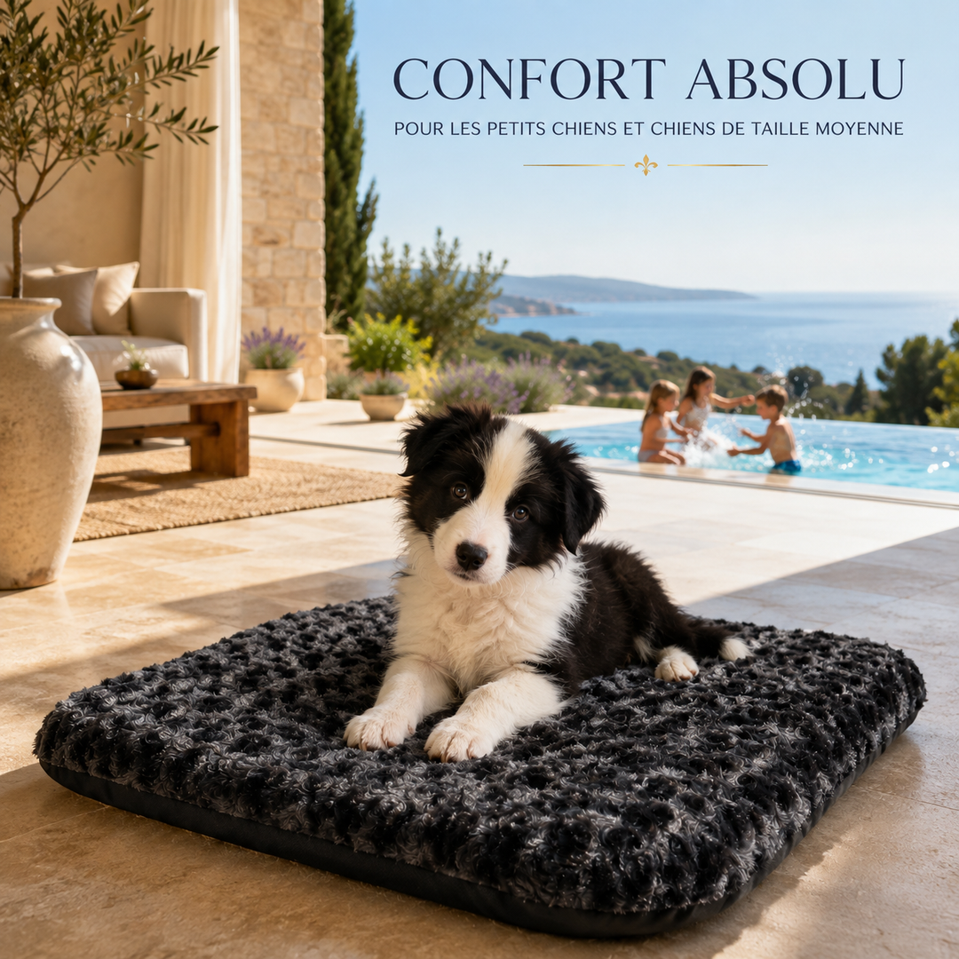Coussin Pavllove pour chien et chat adapté au salon, à la chambre et à l’appartement