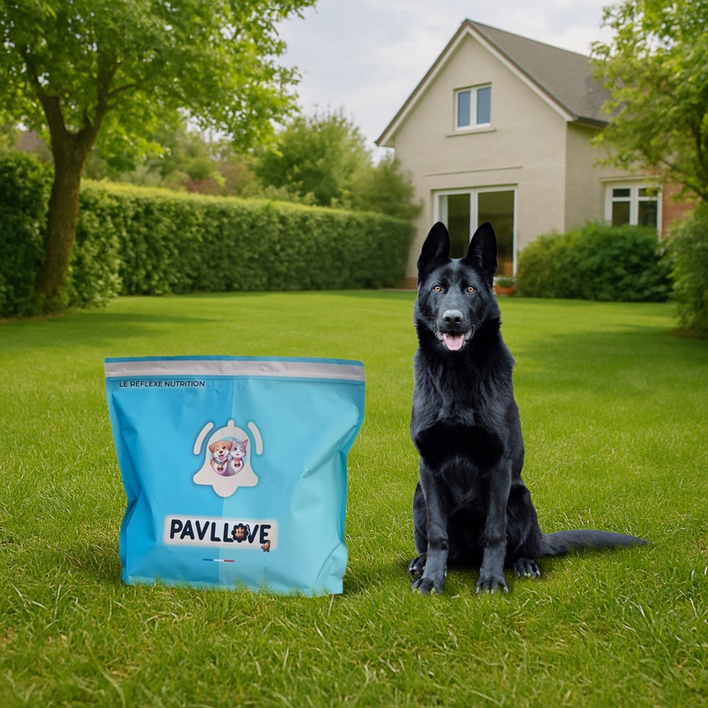 Sac de croquettes Pavllove pour chien sportif – au poulet français, naturelles, riches en protéines, cuisson vapeur, idéales pour la gestation, lactation et la compétition.