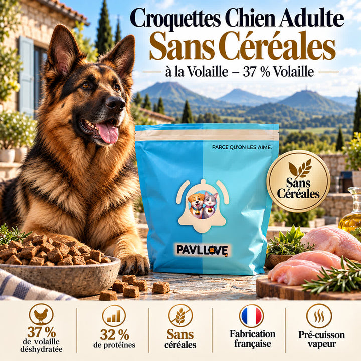 Croquettes chien adulte avec Oméga 3 et Oméga 6 pour la peau et le pelage