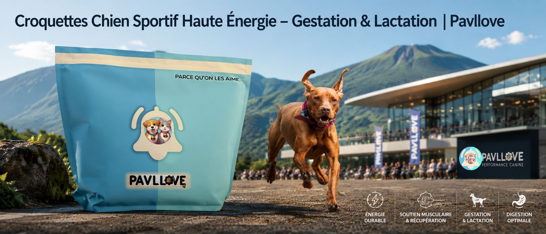 Croquettes canicross et cani-VTT pour chien sportif à besoins énergétiques élevés
