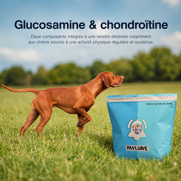 Croquettes chienne gestante haute énergie Pavllove fabriquées en Auvergne