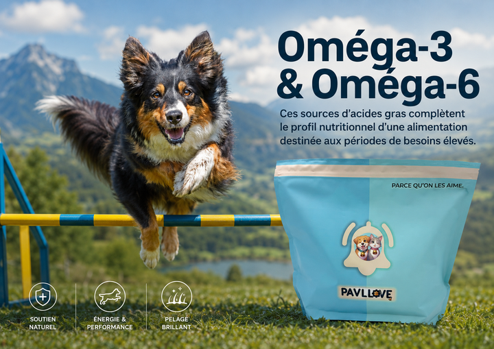Croquettes chien de chasse haute énergie avec 32 % de protéines et 16 % de matières grasses