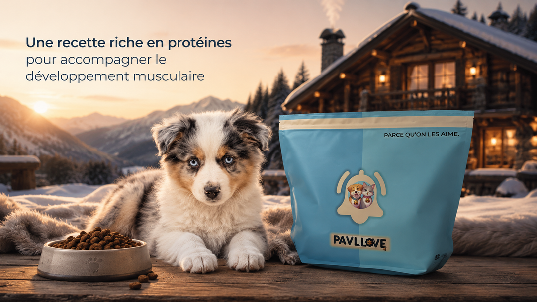 Croquettes chiot avec oméga-3 et oméga-6 pour peau saine, beauté du pelage et vitalité du jeune chien