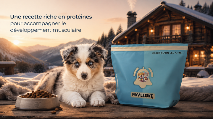 Croquettes chiot avec oméga-3 et oméga-6 pour peau saine, beauté du pelage et vitalité du jeune chien