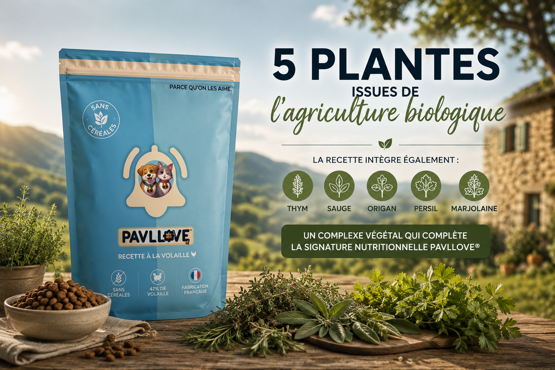 Croquettes PAVLLOVE pour chat stérilisé ou non, recette premium sans céréales à la volaille