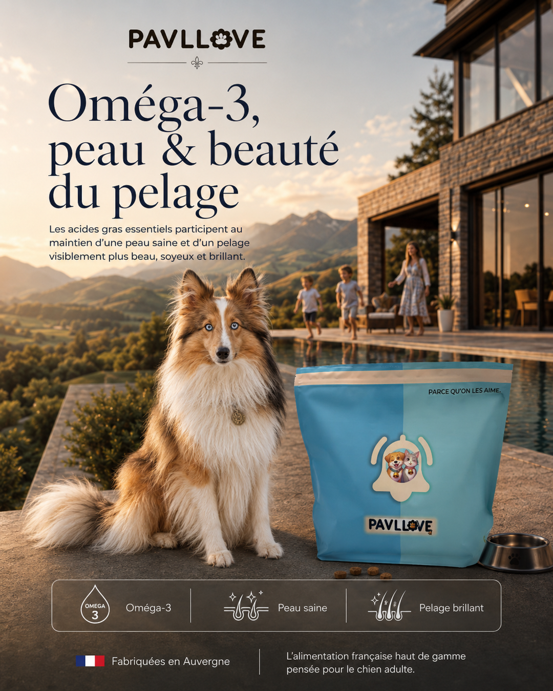 Croquettes premium pour chien adulte dans un décor naturel d’Auvergne