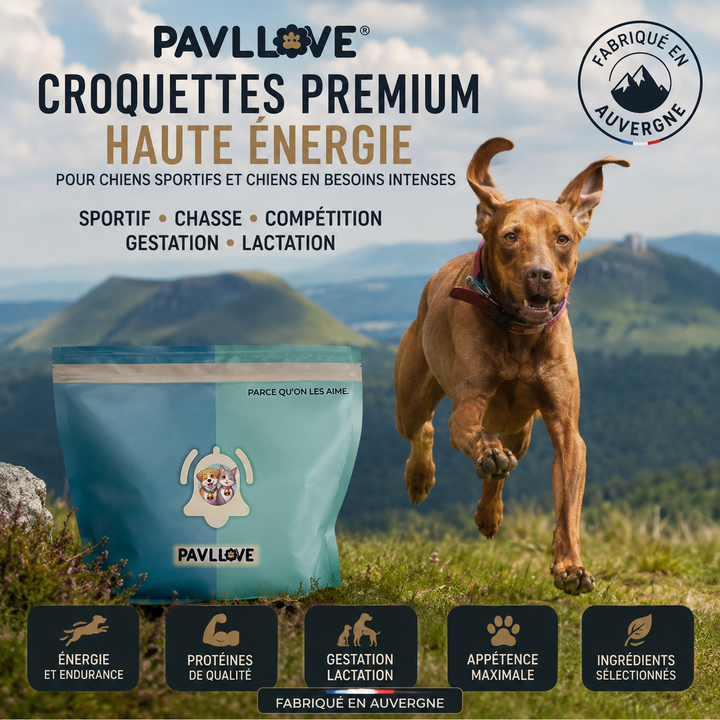 Croquettes haute énergie chien actif chasse travail sport gestation lactation