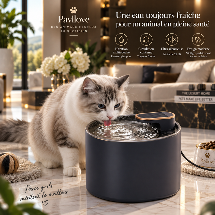 Fontaine à eau pour chat avec éclairage LED et arrêt automatique
