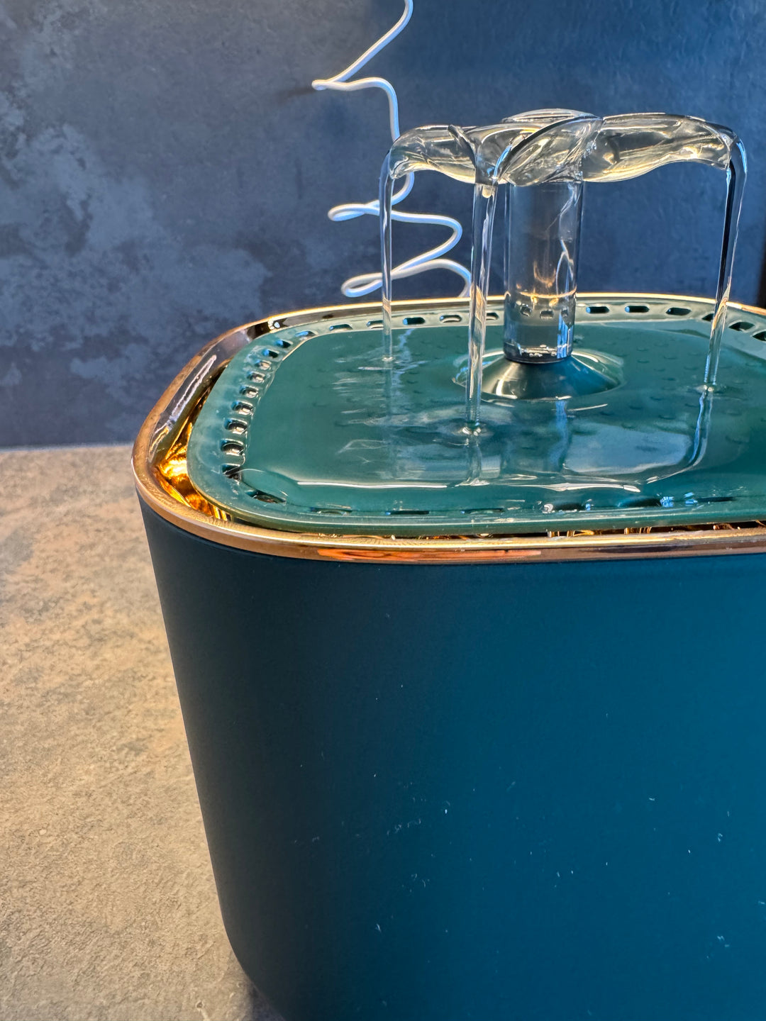 fontaine design Pavllove pour chat avec finitions dorées