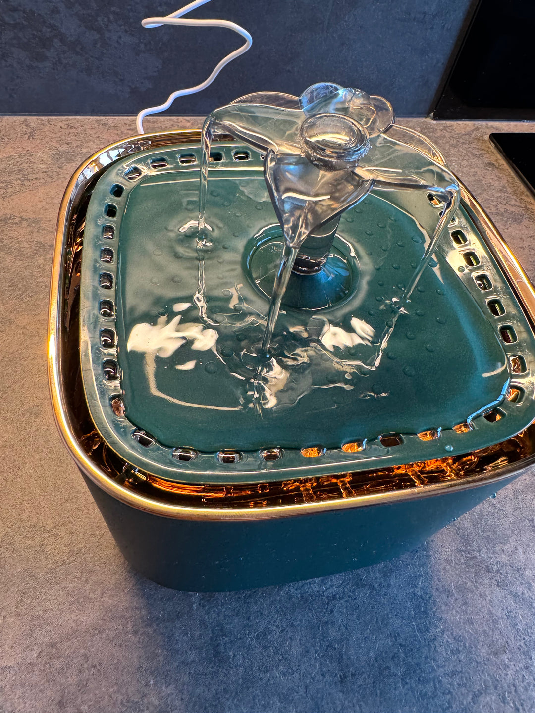 fontaine Pavllove haut de gamme française pour chat