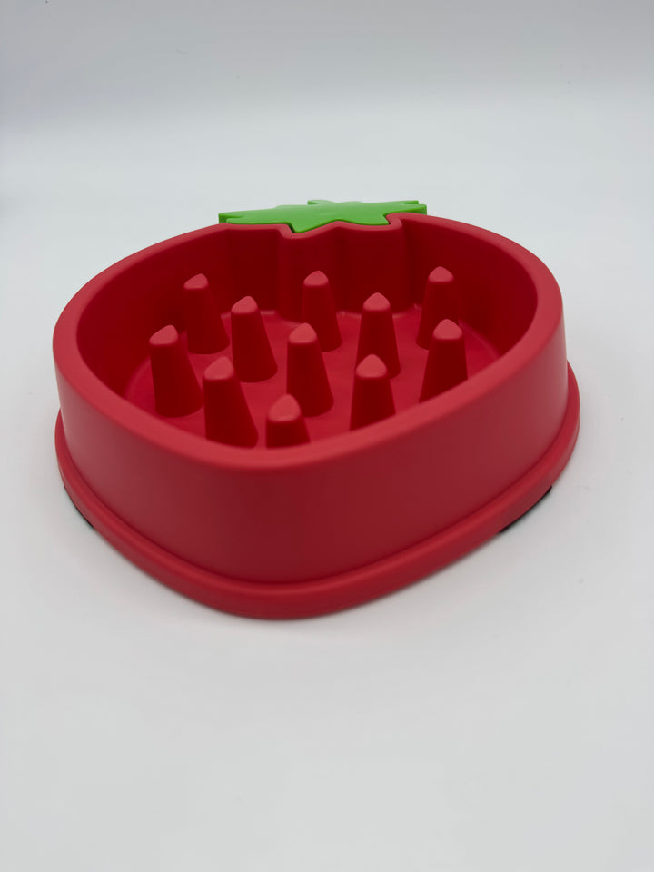 chien-mange-gamelle-anti-glouton-pavllove