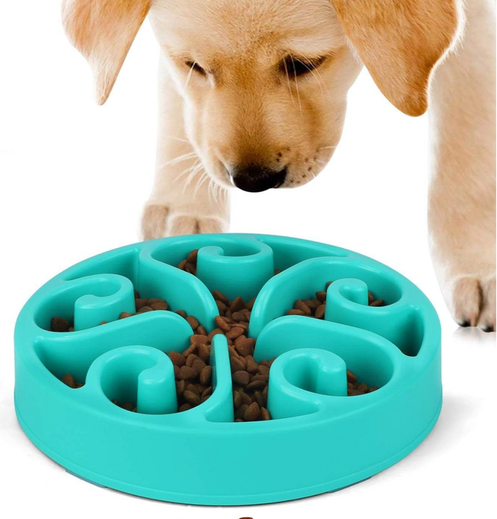 gamelle originale Pavllove bleu design anti-glouton