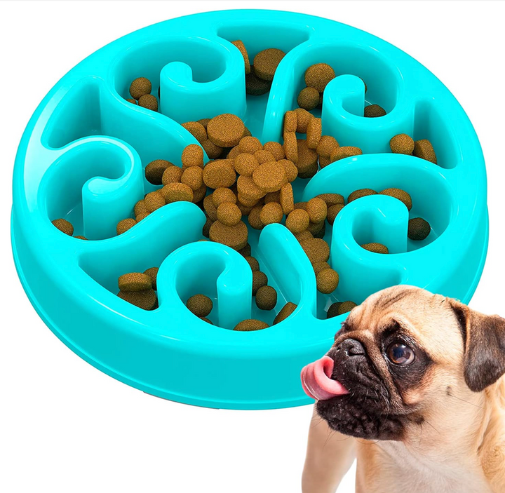 gamelle Pavllove anti-glouton bleue avec motif tourbillon