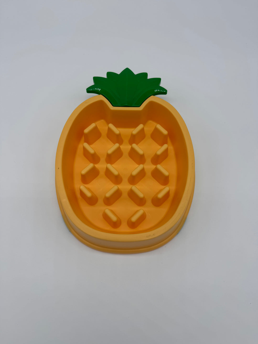 gamelle fun et durable chien