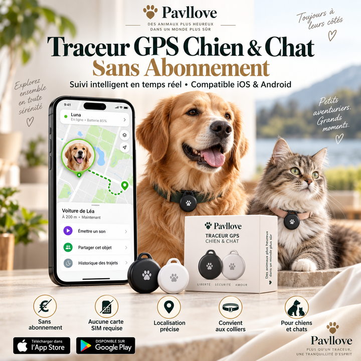 Traceur GPS chat sans abonnement avec application de suivi de localisation